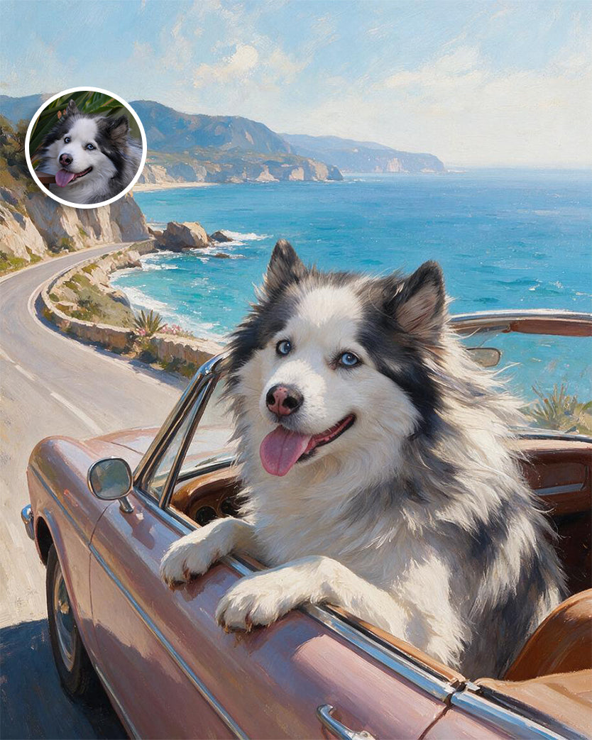 🚗 Coastal Cruiser Pet